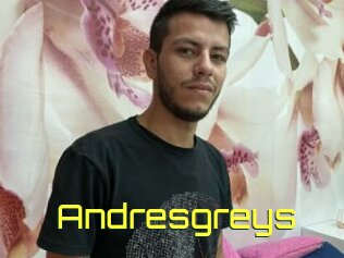 Andresgreys