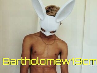 Bartholomew19cm