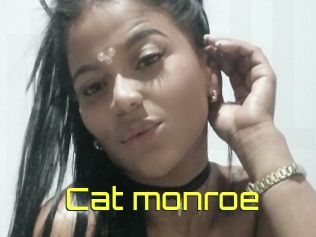 Cat_monroe