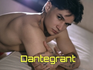 dantegrant Pine De Lapin