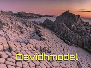 Davidhmodel