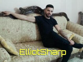 ElliotSharp