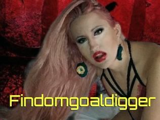 Findomgoaldigger