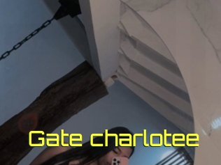 Gate_charlotee