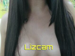 Lizcam