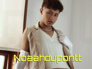 noaahdupontt Pine De Lapin