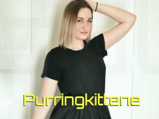 Purringkittene