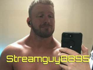 Streamguy8895