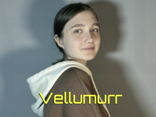 Vellumurr